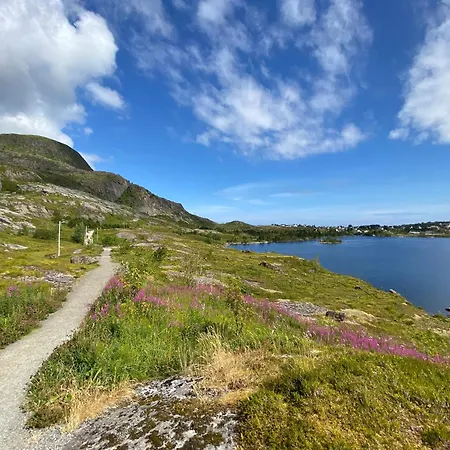 Dağ evi Eagle Bay - Waterfront Rorbu C Sørvågen