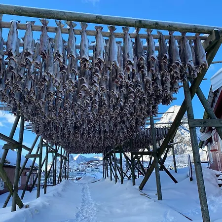 Eagle Bay - Waterfront Rorbu C Chalet