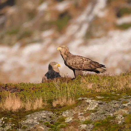 Eagle Bay - Waterfront Rorbu C