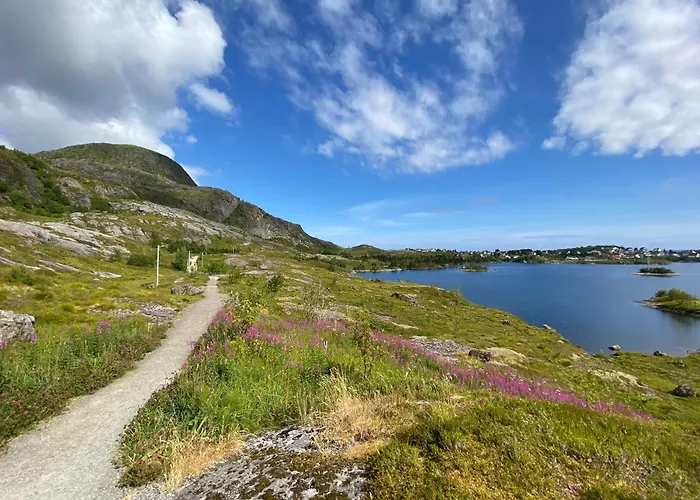 Dağ evi Eagle Bay - Waterfront Rorbu C Sørvågen